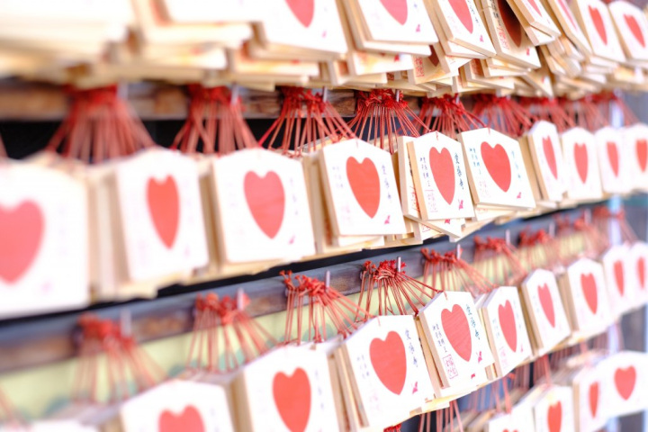 『片山津・橋立コース』～湖畔から日本海を巡る～